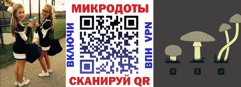 ссылка на мегу вход  Торопец  Галлюциногенные грибы мицелий 